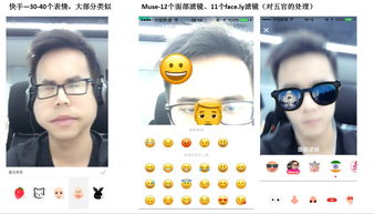 干货汇总短视频玩法贴纸篇两分钟了解风口上的猪的玩法