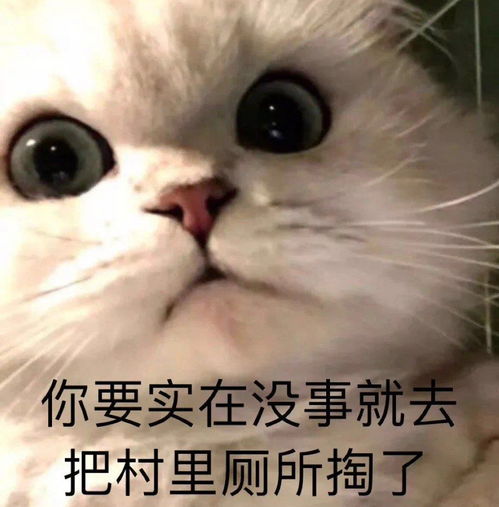萌宠表情包你看起来不正常哦