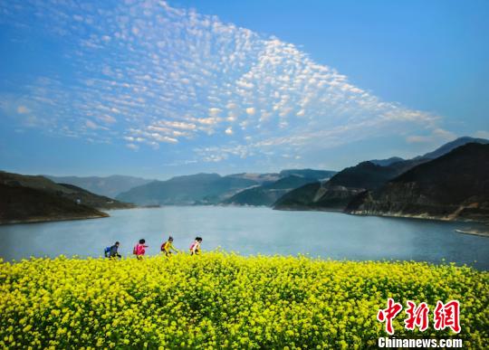 表情浙江丽水绿谷蓝炼成记念好三字诀转身天空之城丽水浙江...表情