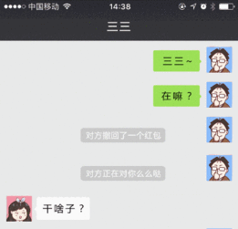 vr是狼,这就是狈米家全景相机评测