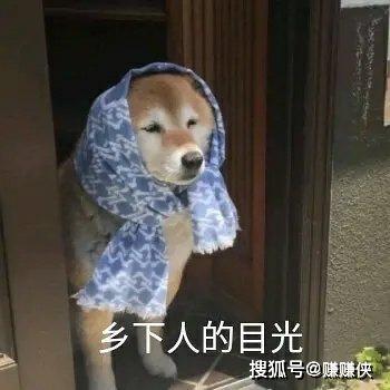 人人都爱表情包图片打爆你的狗头