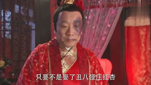 活佛济公3毕潘安娶媳妇不随心,熄了灯母猪也能变貂蝉