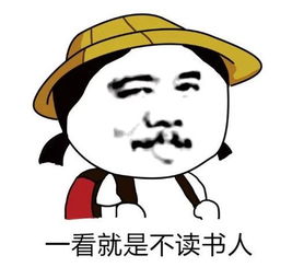 中国爸爸不再进口洋垃圾这下老外彻底跪了