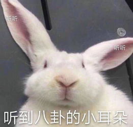 李现打游戏忘开美颜,林更新一出场惨遭淘汰,网瘾明星真是不好当
