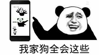 好弱的招式表情,反招式搞笑表情包,拜托你很弱唉搞笑频道