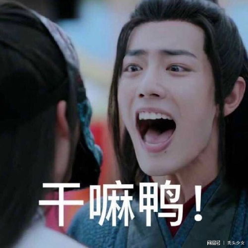 你不得不get的表情包之陈情令