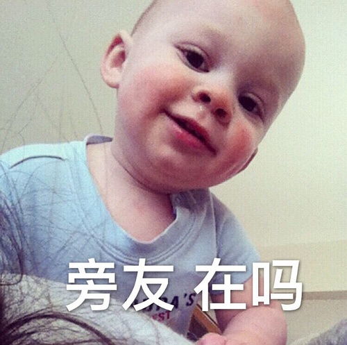 我的收藏