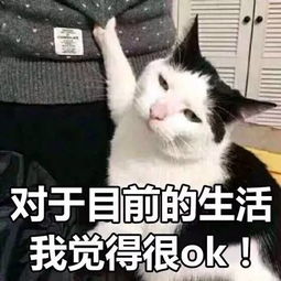 没错,这就是现实的生活和你啊