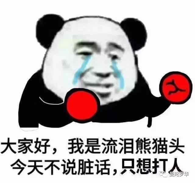 斗图表情包熊猫头头像