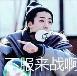 exo表情包exo吴世勋