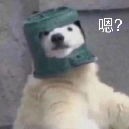 再不准备就晚了往届生现场确认材料大汇总