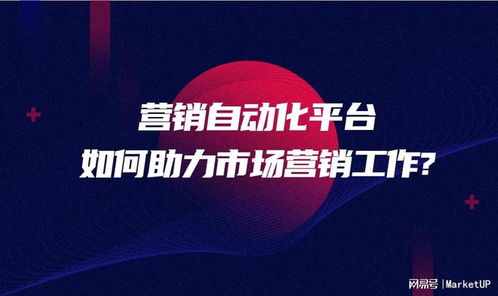 营销自动化平台如何助力市场营销工作