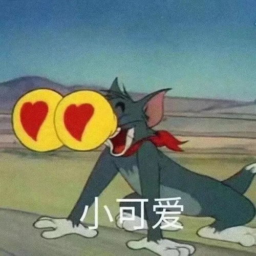 打爆气球的表情包猫和老鼠