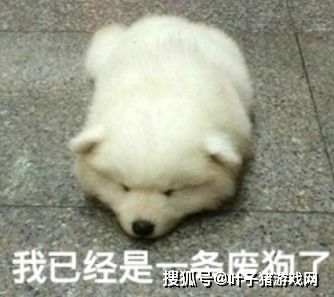 打游戏菜还在怪外设国外玩家正在用吉他玩血源,架子鼓打cod