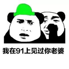 狗子跳起来的表情包绿帽子