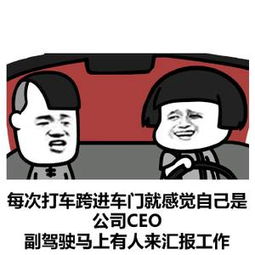搞笑的表情包图集段子