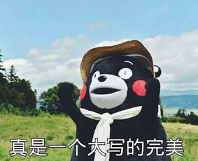 屯溪要建地下人行通道快看在你家附近吗