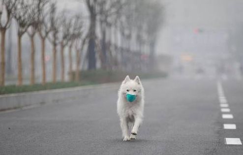 晴好天气继续,空气质量不乐观