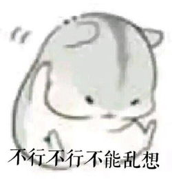 可爱仓鼠夫妇表情包