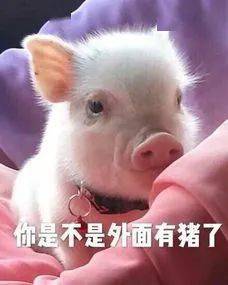十条段子除非你给我五块钱,要不然我不会原谅你的