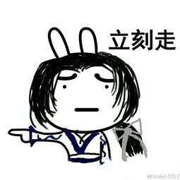 你见过什么惊为天人的表情图