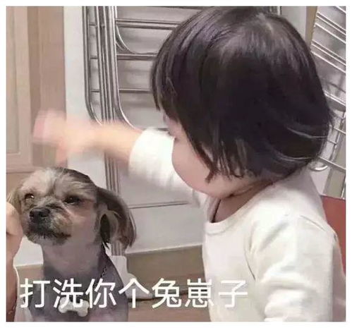 下面是一项小测试,超过20项就是一名资深猫奴了哦