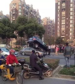 搞笑段子图当女生看到帅哥的时候,眼睛发光的表情你见过吗