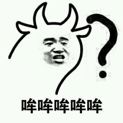 果然哈一个男孩子看到你衣服帽子不整齐帮你整理可不可以勾搭啊