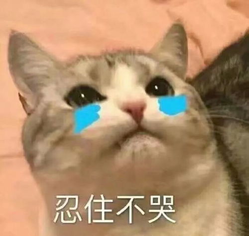 分手季不相信爱情团子七夕送礼物啦