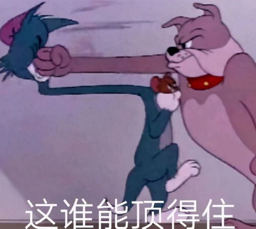 夺笋表情包meme