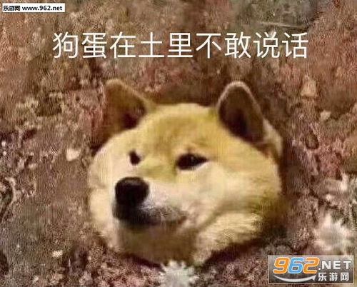 我真的太难了表情包图片现出原形的搞笑表情包下载乐游网游戏下载