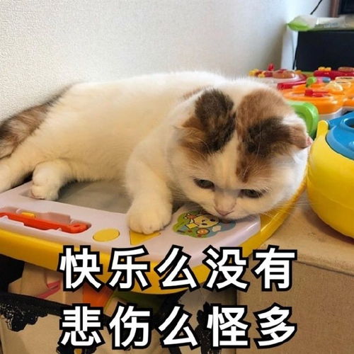 本宫乏了表情包互相伤害
