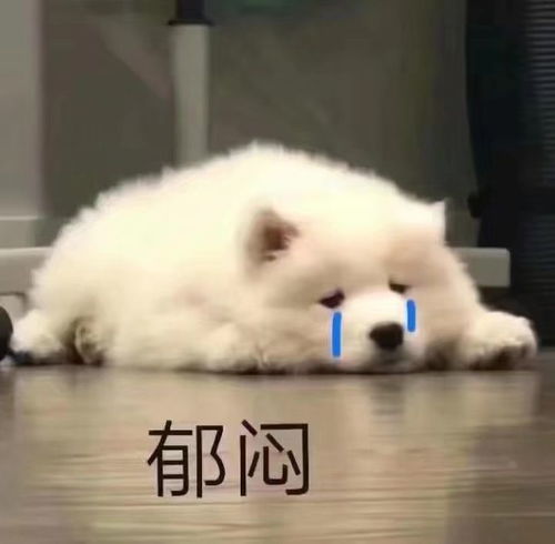 个人经历求助