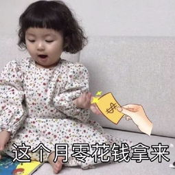双十一剁手节后渡劫指南