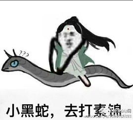 坏坏坏表情包图片太坏了