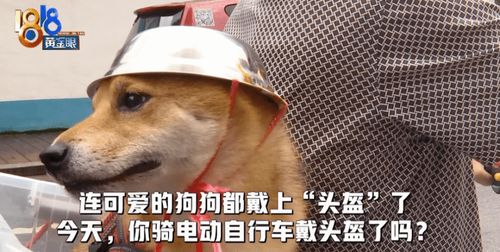 共建文明交通共享文明城市