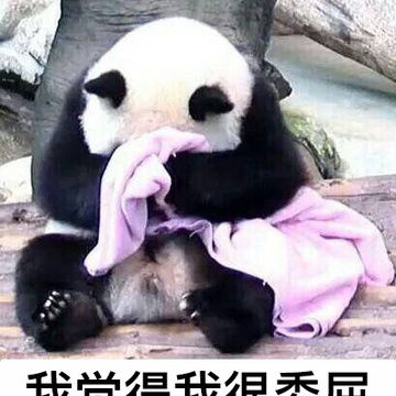 全站相册标签熊猫