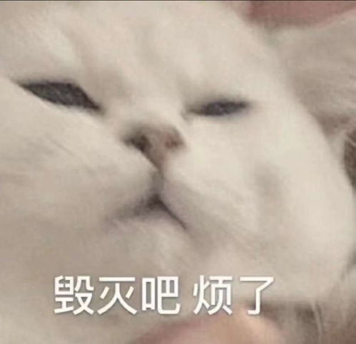 年薪30万女生转行卖快餐,自己喜欢就好