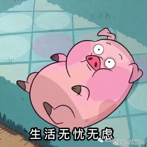做主播难还是看直播难
