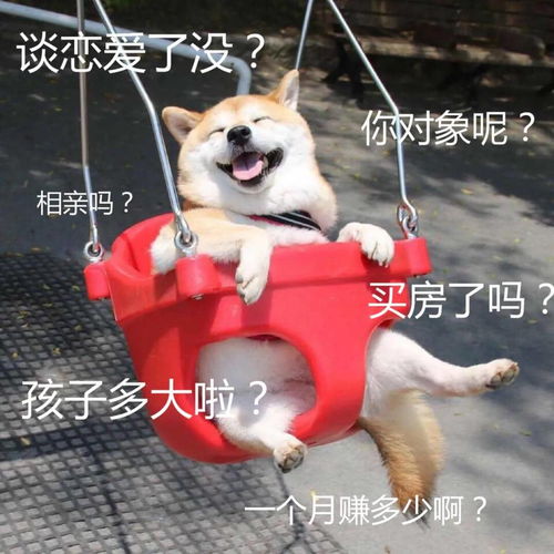 推荐一波中国春节要红包好玩的表情包