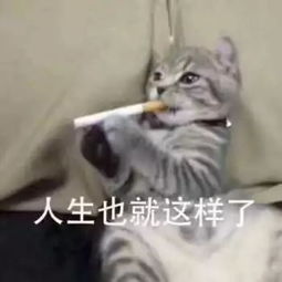 程序员沉迷代码有多野结婚结到一半都能掏出电脑狂敲