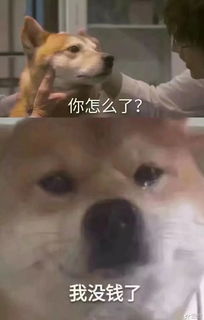 结果已出家长却又为这事犯了愁