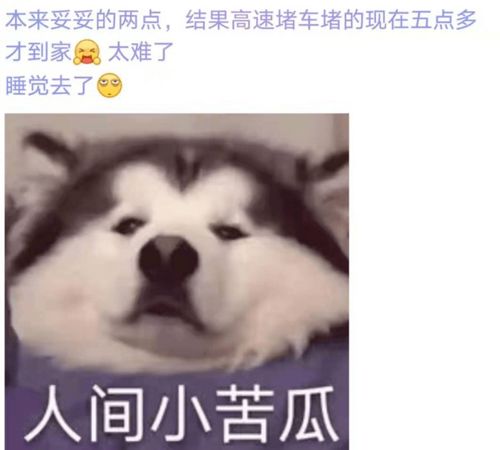 国庆看完这个,你还想出去吗