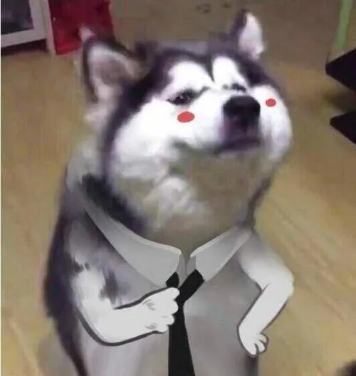 猴子表情包搞笑图片二哈