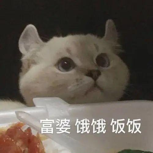 23岁列车员是软饭男正牌女友曝出惊人反转别带女孩去我家