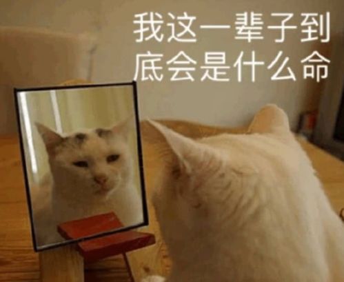 不懂数理的设计师不是好艺术家