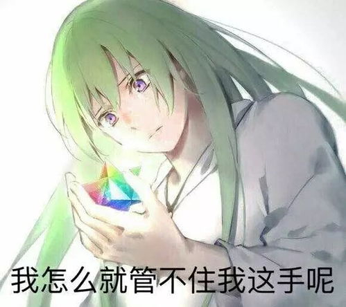 fgo齐格飞表情包达芬奇