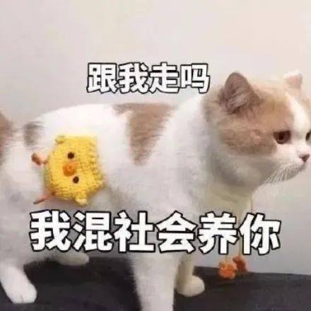 看完三十而已大家居然