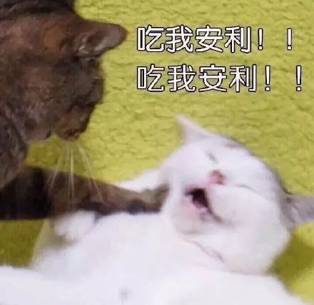 斗图小表情9.7