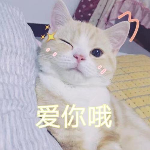 2021年3月17日早鸟报